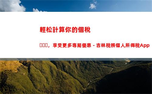 個人所得稅最優(個人所得稅怎么查)